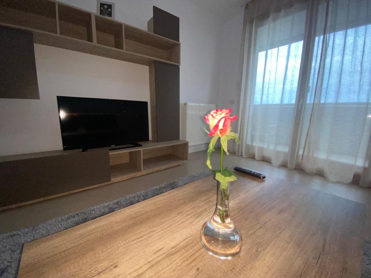 Central Apartment Тимишоара Екстериор снимка