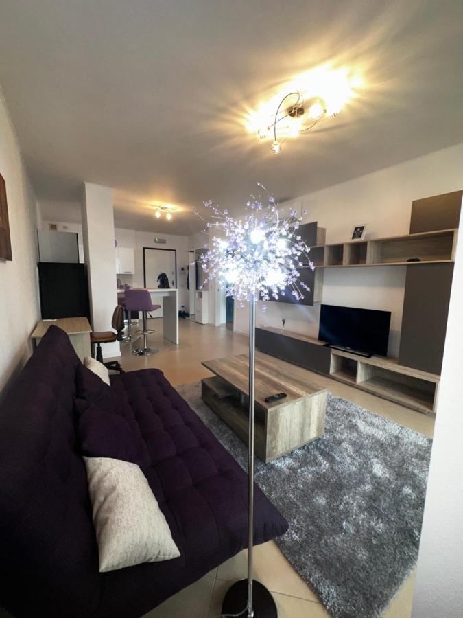 Central Apartment Тимишоара Екстериор снимка