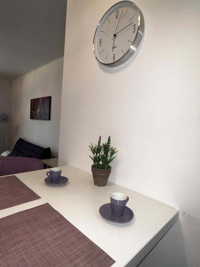 Central Apartment Тимишоара Екстериор снимка