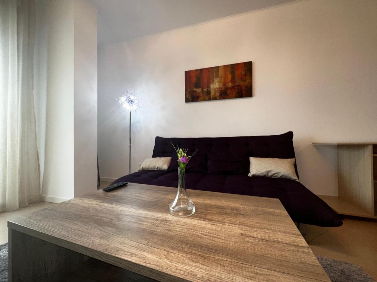 Central Apartment Тимишоара Екстериор снимка