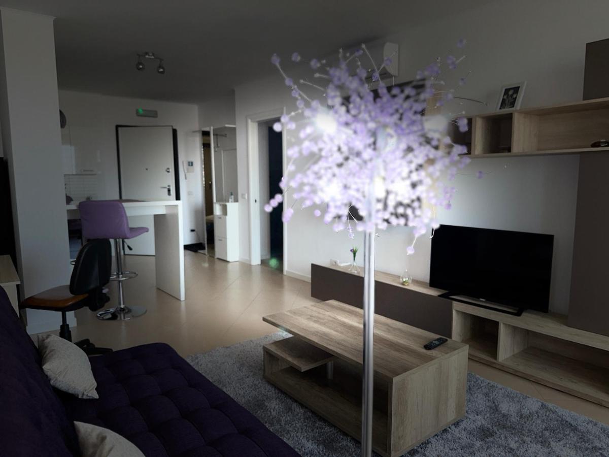 Central Apartment Тимишоара Екстериор снимка