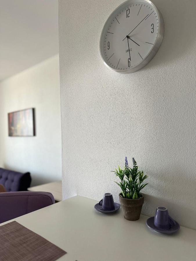 Central Apartment Тимишоара Екстериор снимка