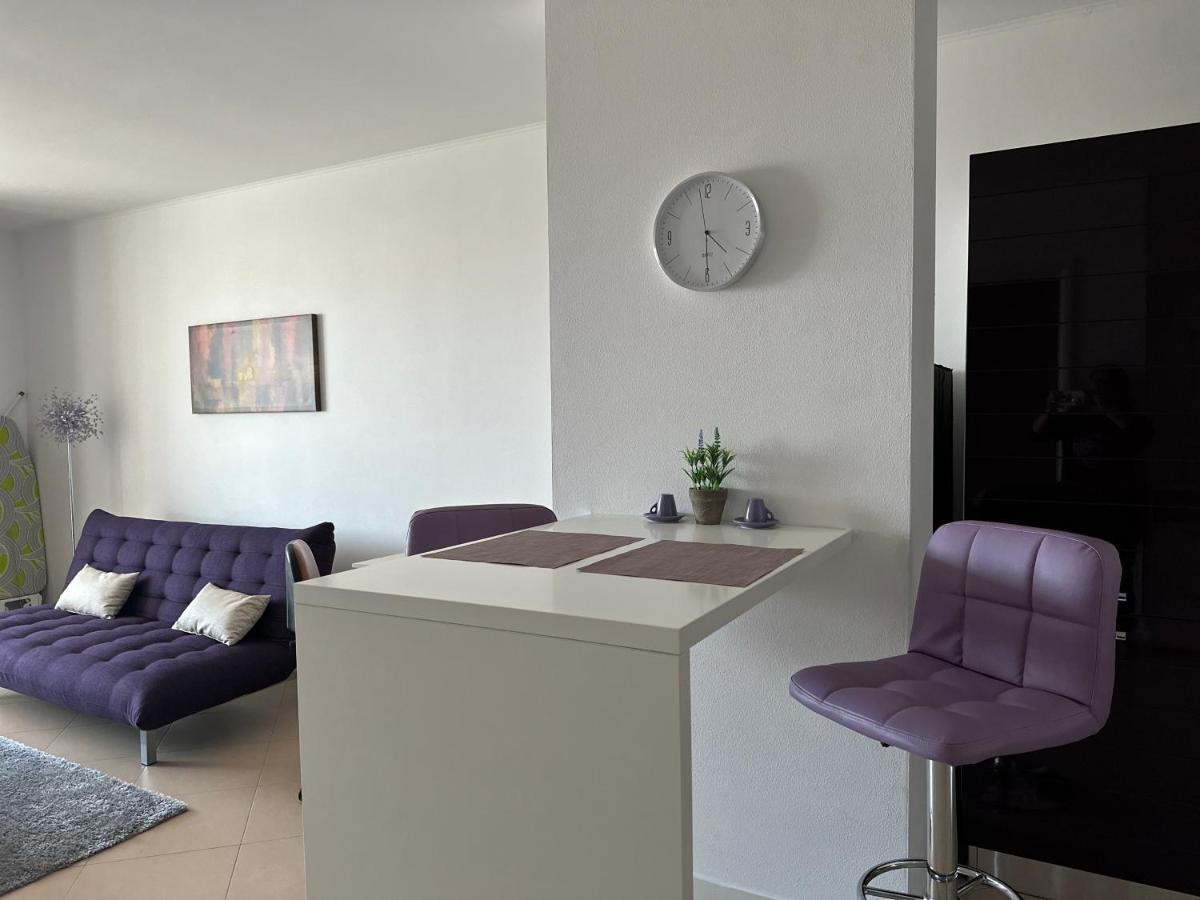 Central Apartment Тимишоара Екстериор снимка