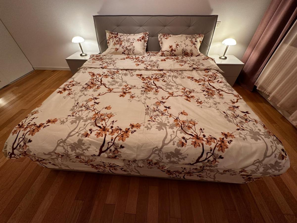 Central Apartment Тимишоара Екстериор снимка