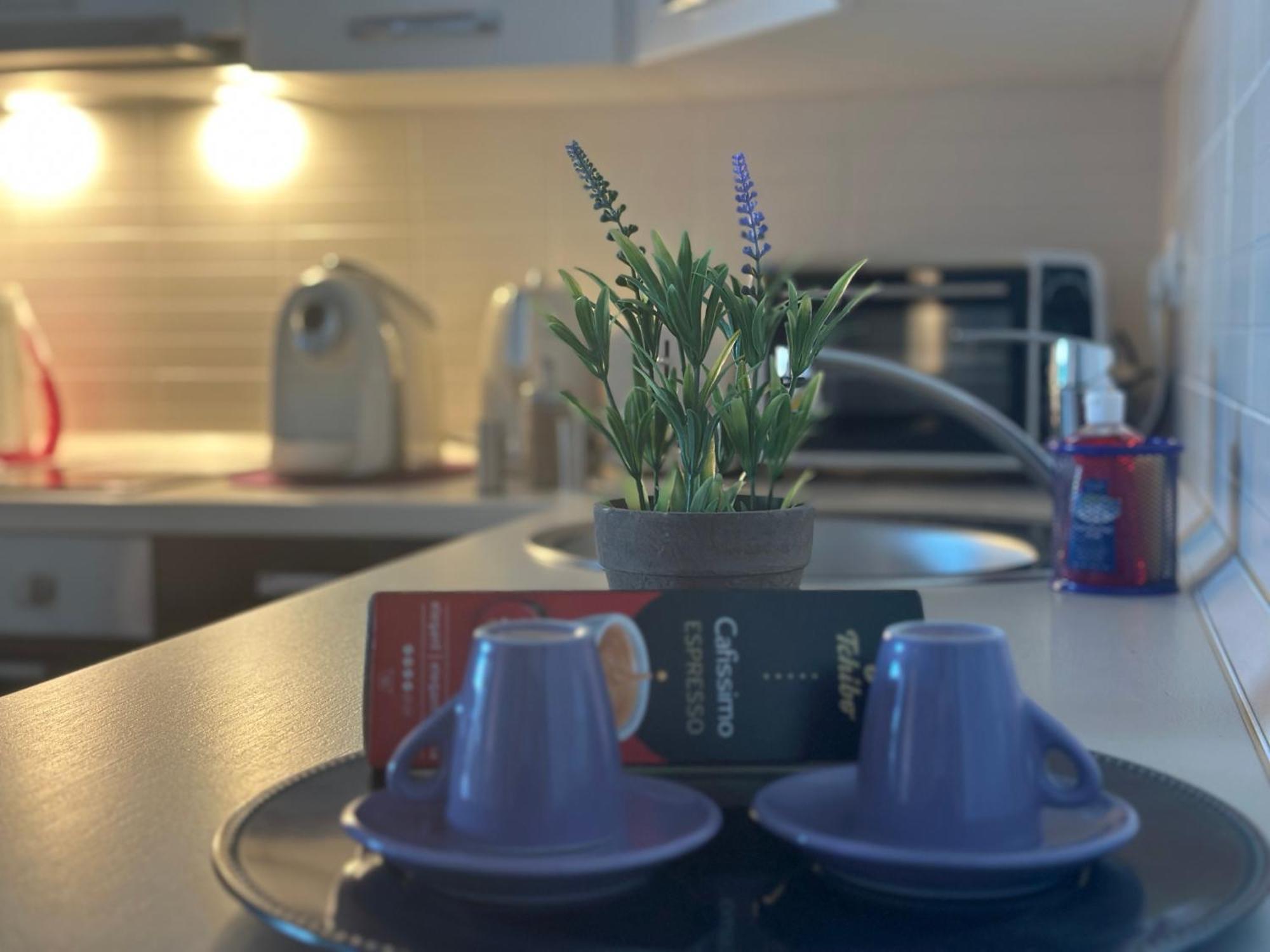 Central Apartment Тимишоара Екстериор снимка