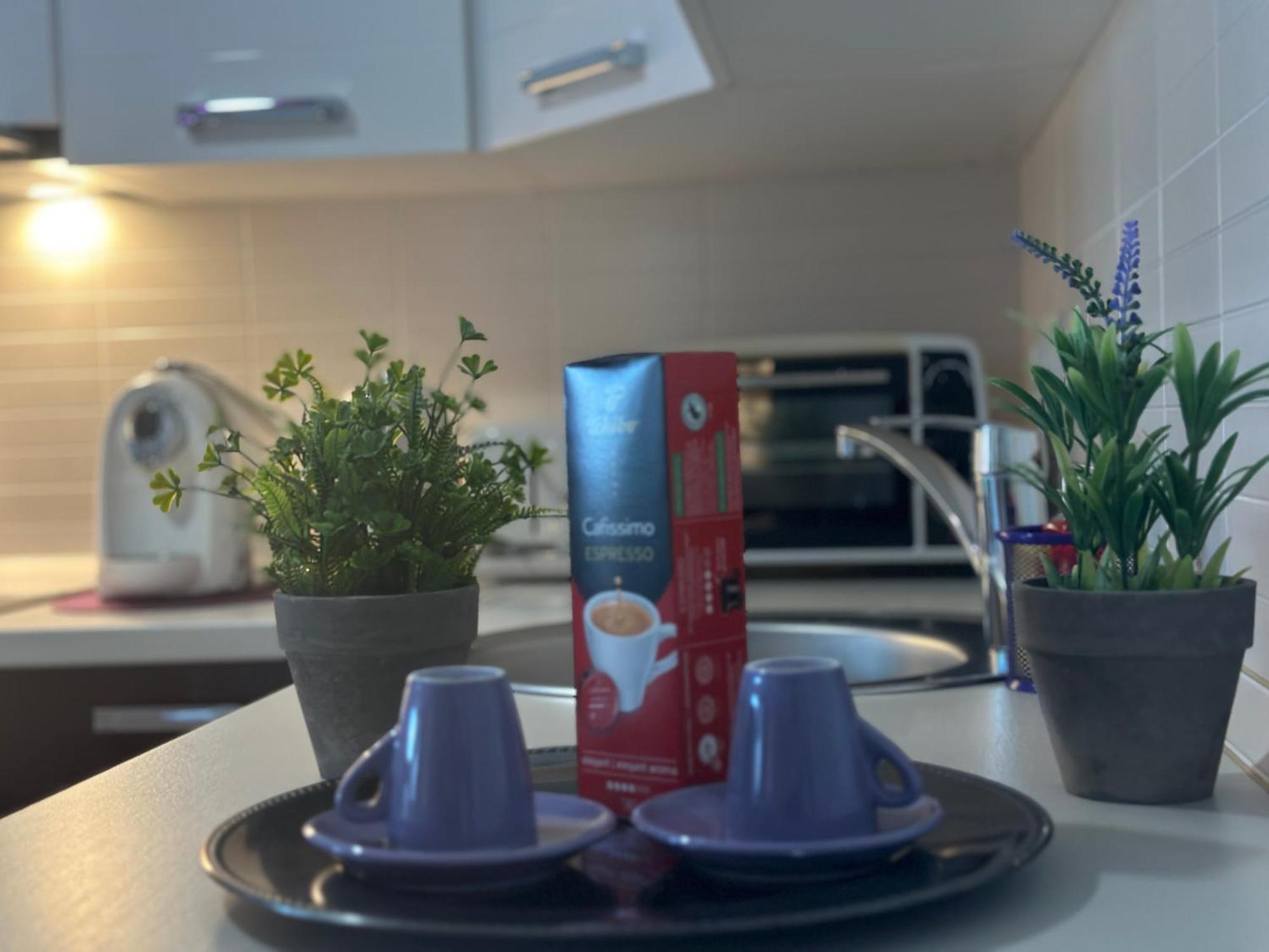 Central Apartment Тимишоара Екстериор снимка